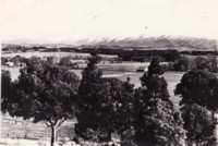 View of the Brindabellas, with Corkhills Dairy in the foreground.
