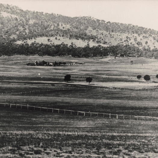 Panorama of early Canberra