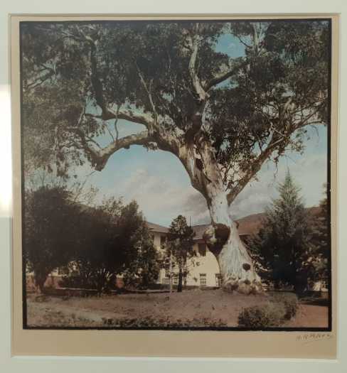 Colour (ed) photograph of Hotel Acton, Canberra  by A.R.Peters (framed)
Hotel Acton, Canberra  c.1930