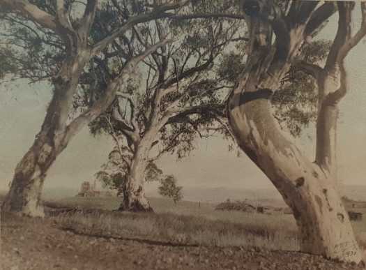 Coloured photograph of a view from the rear of Old Parliament House 1931, by Albert R. Peters (mounted on cardboard)
View across Canberra 1931. Taken from the rear of old Parliament House.