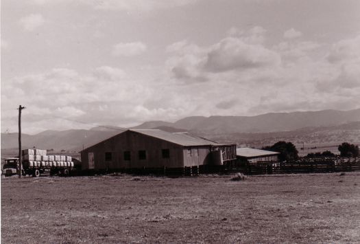 Shearing shed at Erindale and truck loaded with wool from near homestead. Shearing shed located on McBryde Cres between Erindale Centre and the Tuggeranong Rugby Union Club.