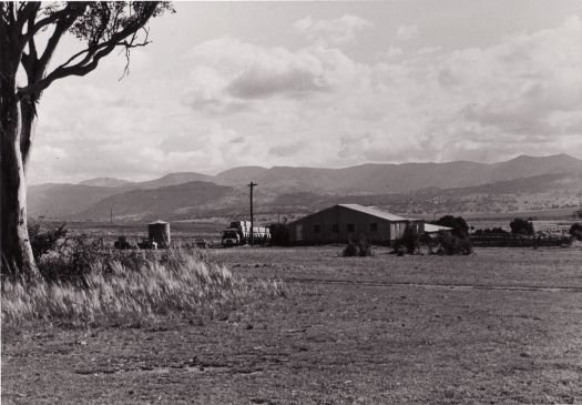 Shearing shed at Erindale