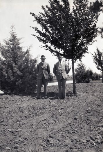 CS Daley and another man standing next to newly planted rows of trees.