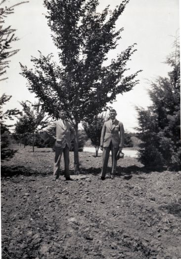 CS Daley and another man standing next to newly planted rows of trees.