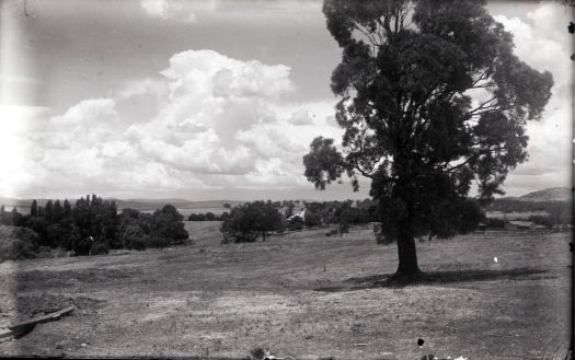 Yarralumla from west