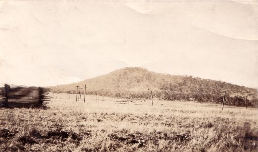 Mt Ainslie, stack of timber in the foreground