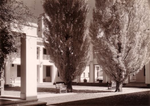 Autumn view, interior courtyard, Parliament House.