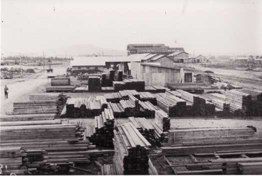 Timber store at the rear of the Power House. On the right of the photo is the railway line to the Power House from Queanbeyan.