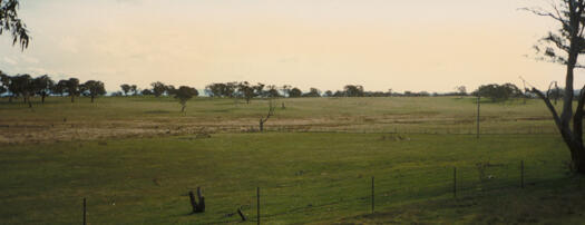 Green paddocks where the suburb of Gungahlin now is. Taken from the western end of Mulligans Flat Reserve looking west.