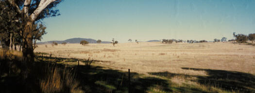 Paddocks where the suburb of Gungahlin now is. Taken from the southern side of Mulligans Flat Reserve looking towards where houses around Alice Cummins Street and Rosanna Street were later built.