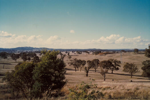 View from Gungahlin Hill over CSIRO paddocks towards Palmerston. The paddocks are the site of the suburb of Crace.