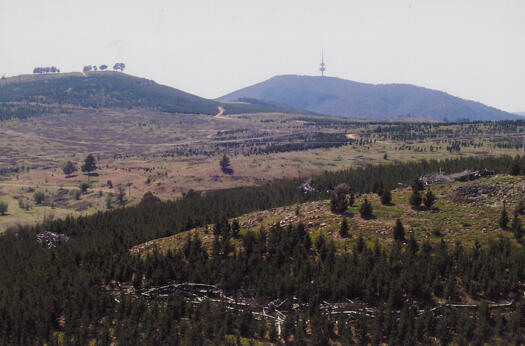 Panorama from Misery Hill to Black Mountain