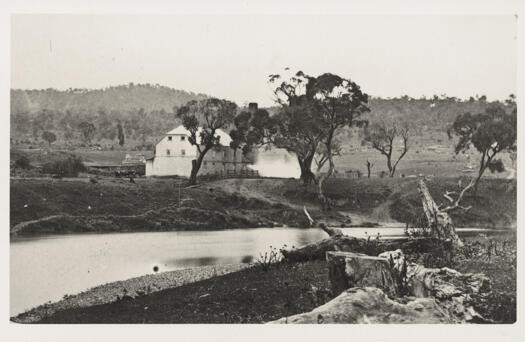 Shows the Mill and two large trees. Date not known.