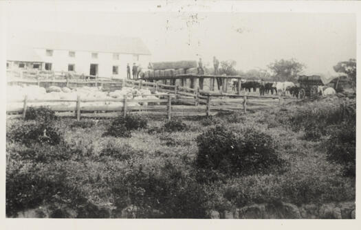 Loading wool bales at the Tuggeranong sheering shed - a two storey structure