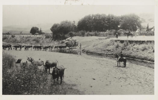 Probably going from Gidleigh Station to the Bungendore Railway Station.