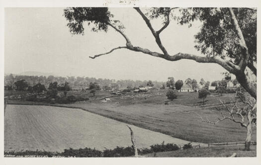 Could be Rottenbury's farm house with Acton out of sight to right. View across Molonglo River.