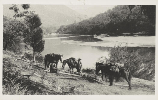 Shows two men and four horses (two saddled) beside the river.