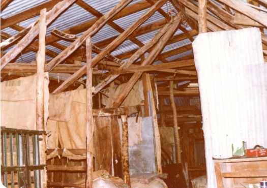 Inside of Ted Tong's slab shed at Upper Naas