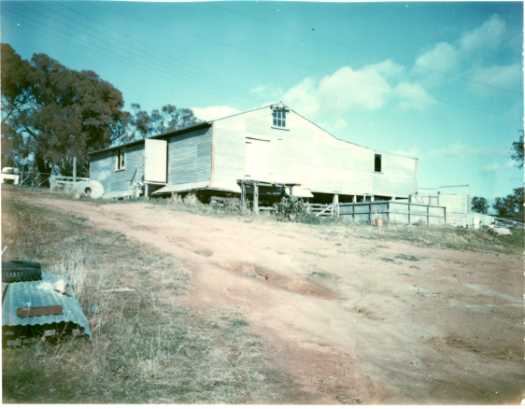 View of the shearing shed at Aroma, built on a slight rise
