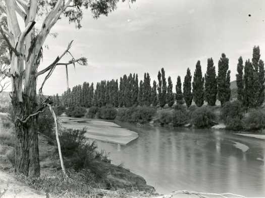 Possibly the Murrumbidgee around Tharwa